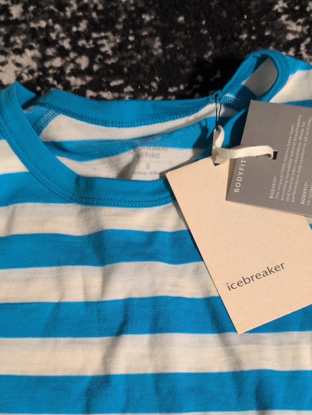 Icebreaker Blue and White Striped Short Sleeve Tee
